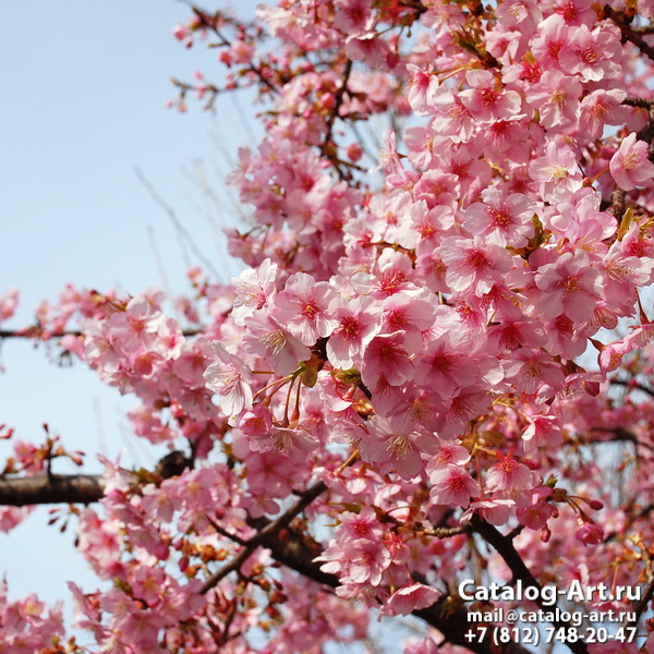Blossom tree 98